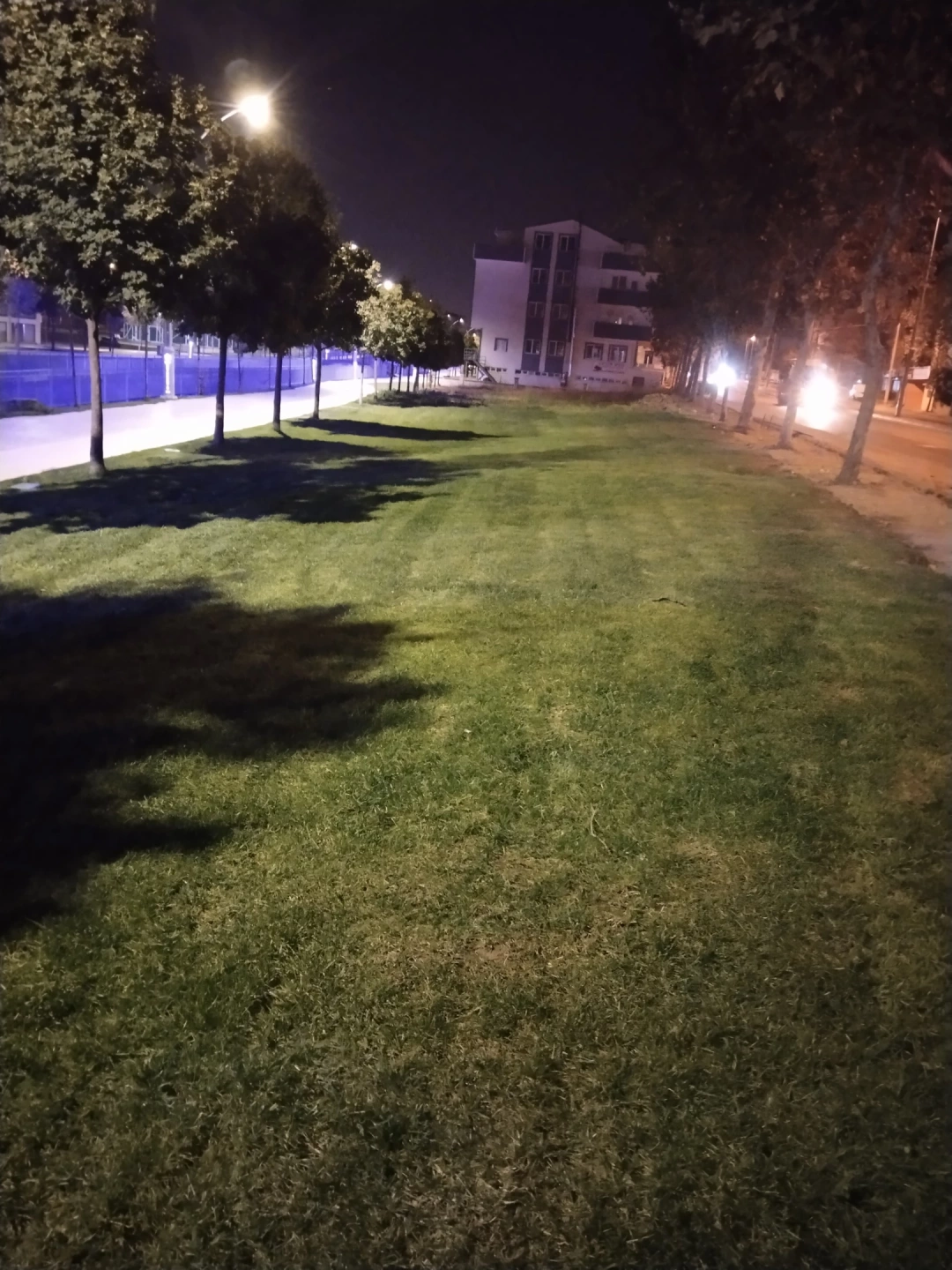 darica / 6143
