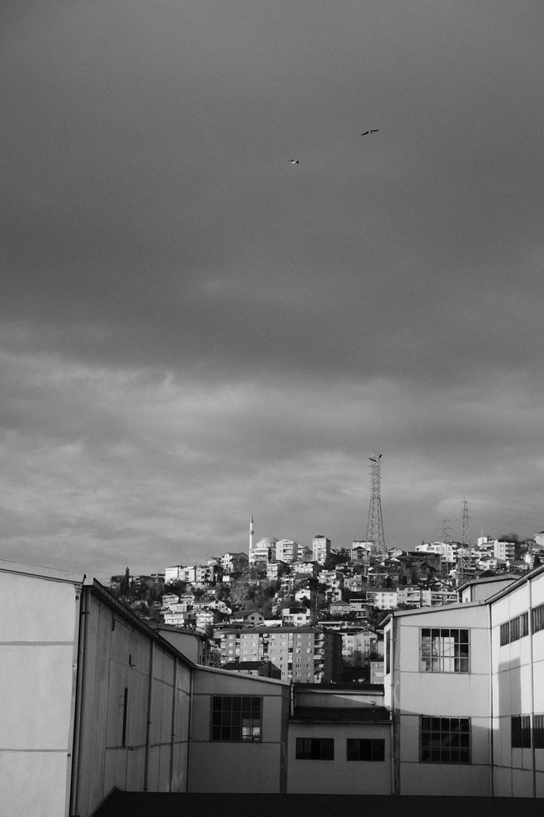 sekakagitmuzesi-izmit-blacknwhite / 16287