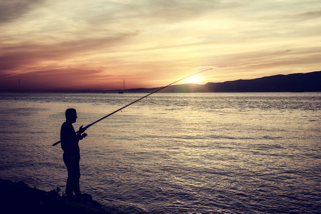 kocaeli-degirmendere / 1343