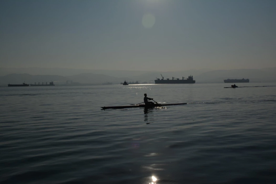 korfezde-kurek / 8943