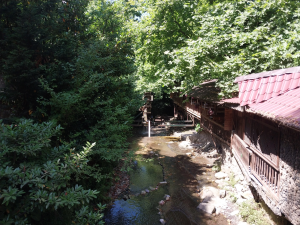 masukiye / 15325