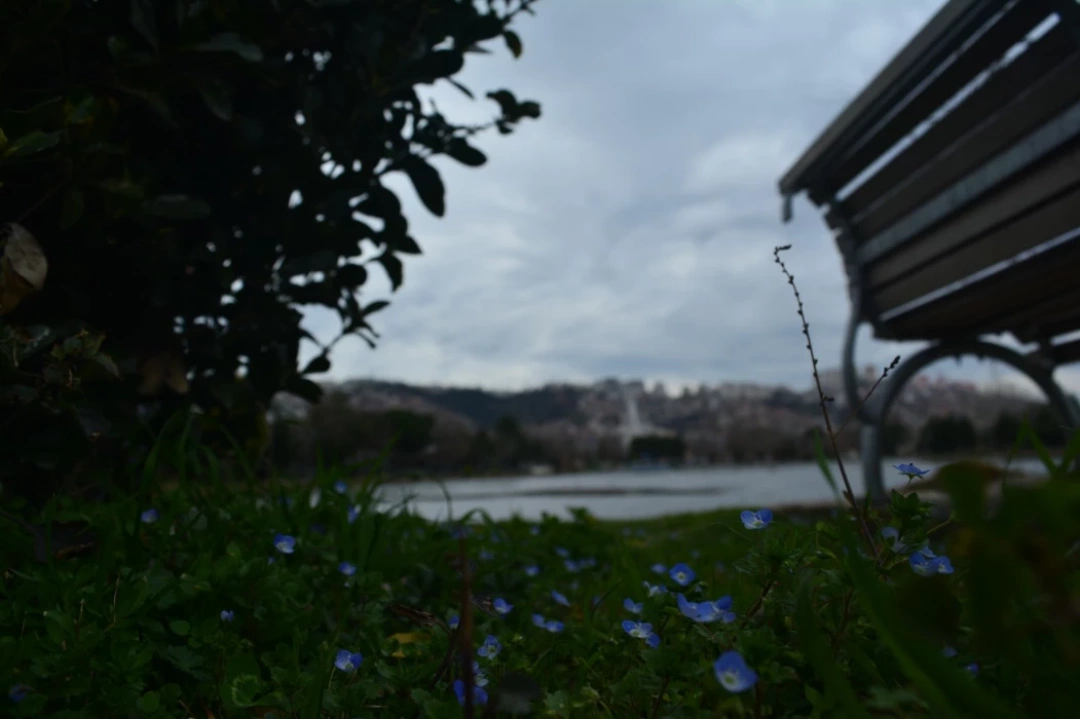 fuardan-izmit / 8865