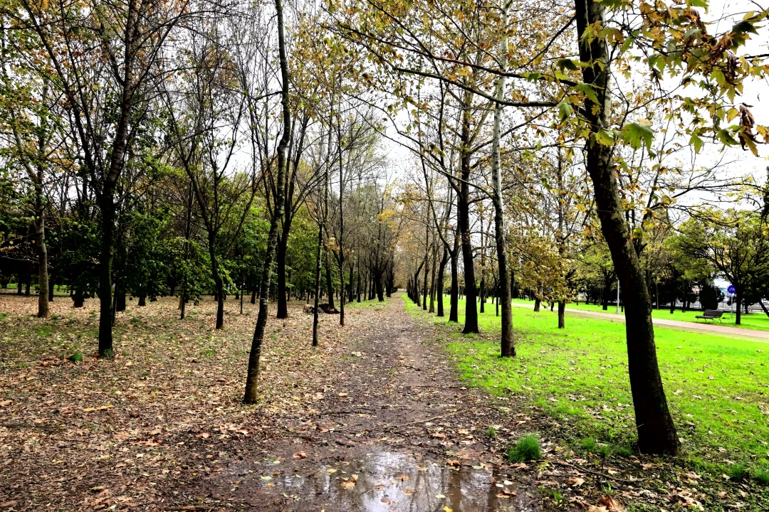 yahyakaptan-yuruyusyolu / 9265