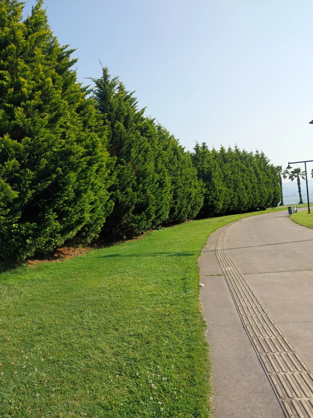 kocaeli / 14665