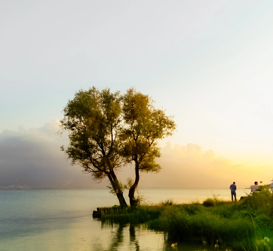 sapanca-gol-agac-kiyi-esme / 9765