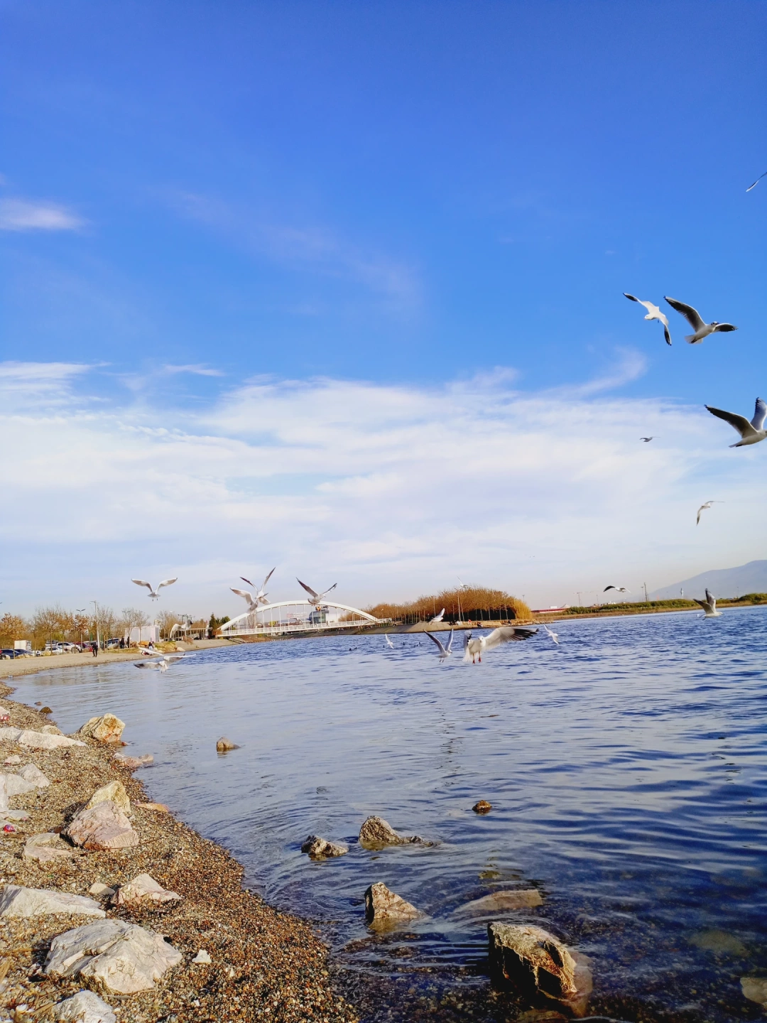 izmit-marina-sahilmarinaguzelsehrim / 10165