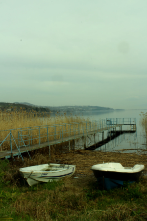 kocaeli-esme / 11103