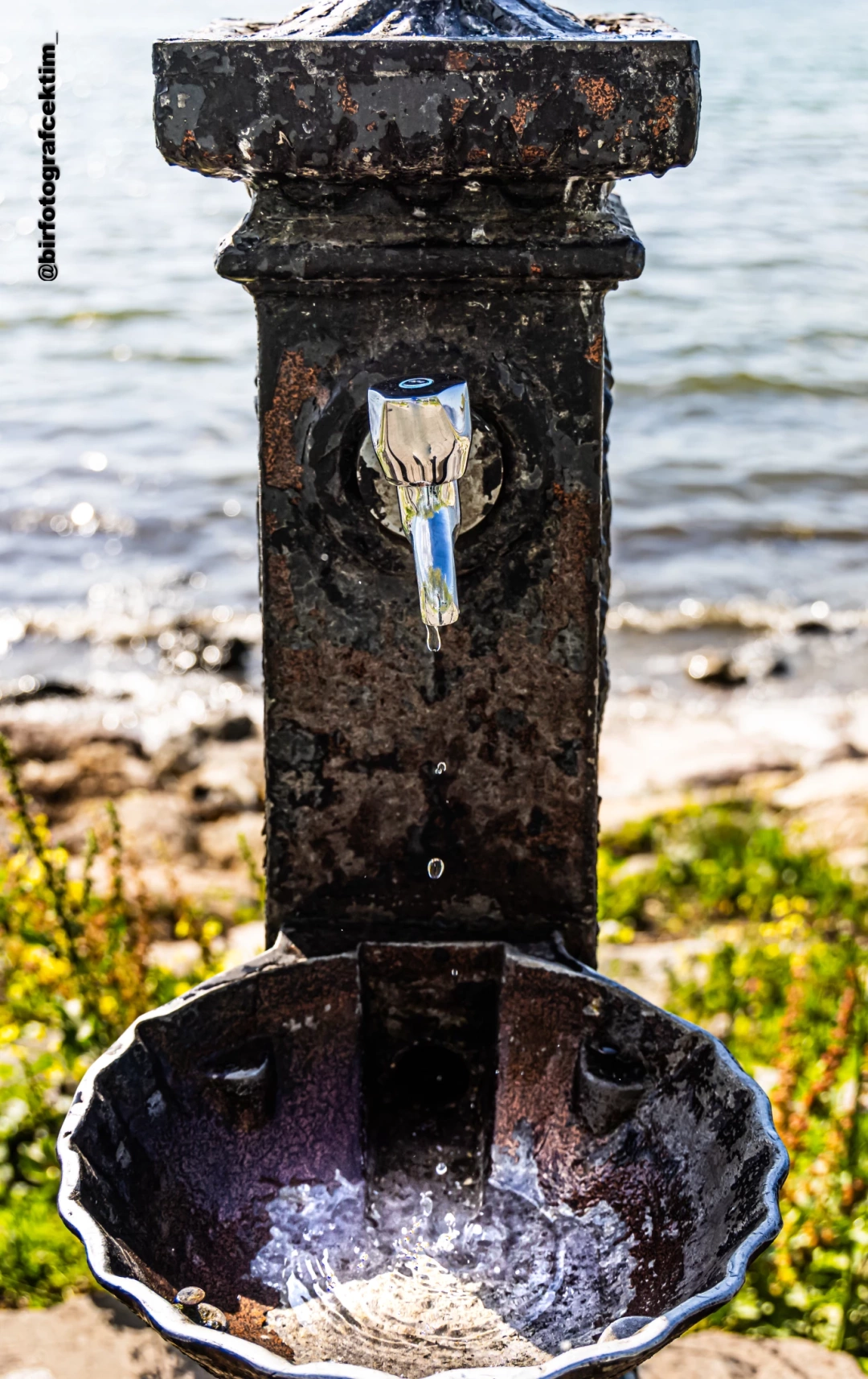 basiskele-sahil-cesme / 10465