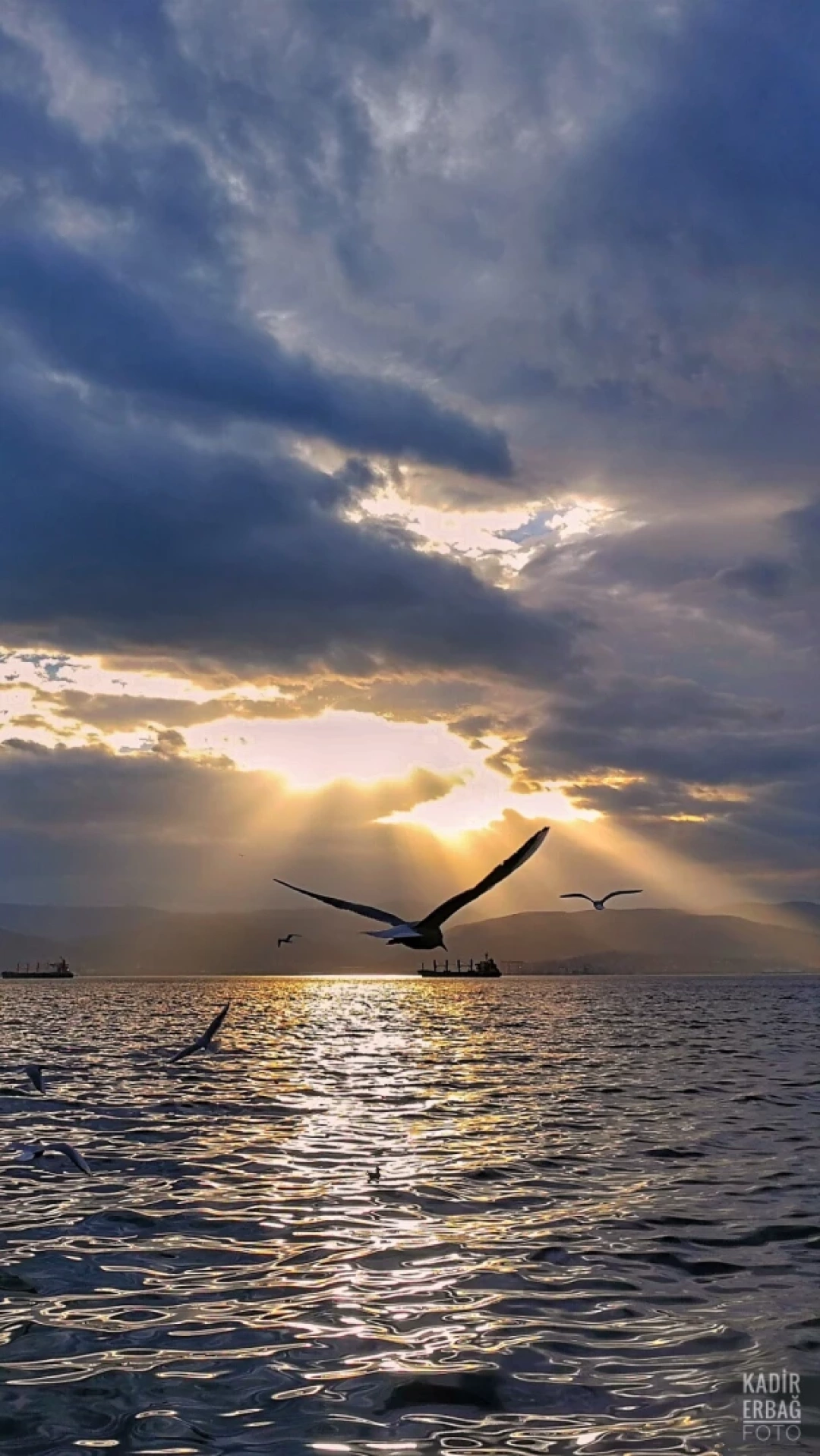 sahil-izmit-kocaeli-foto-kadir-erbag / 13121