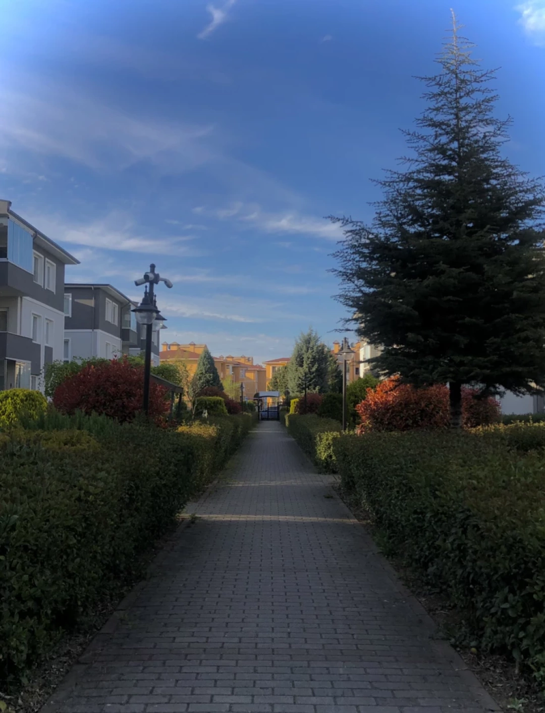 izmit-kocaeli-yahyakaptan-gokyuzu-gokyuzu-sevdamizkocaeli / 11621