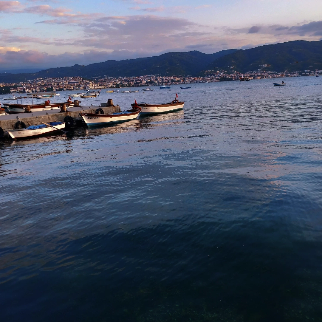 tutunciftliksahili-korfez / 15821