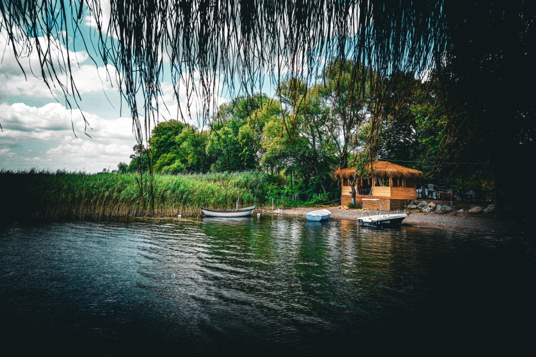 esme-kartepe-gol-kocaeli-izmit / 15521