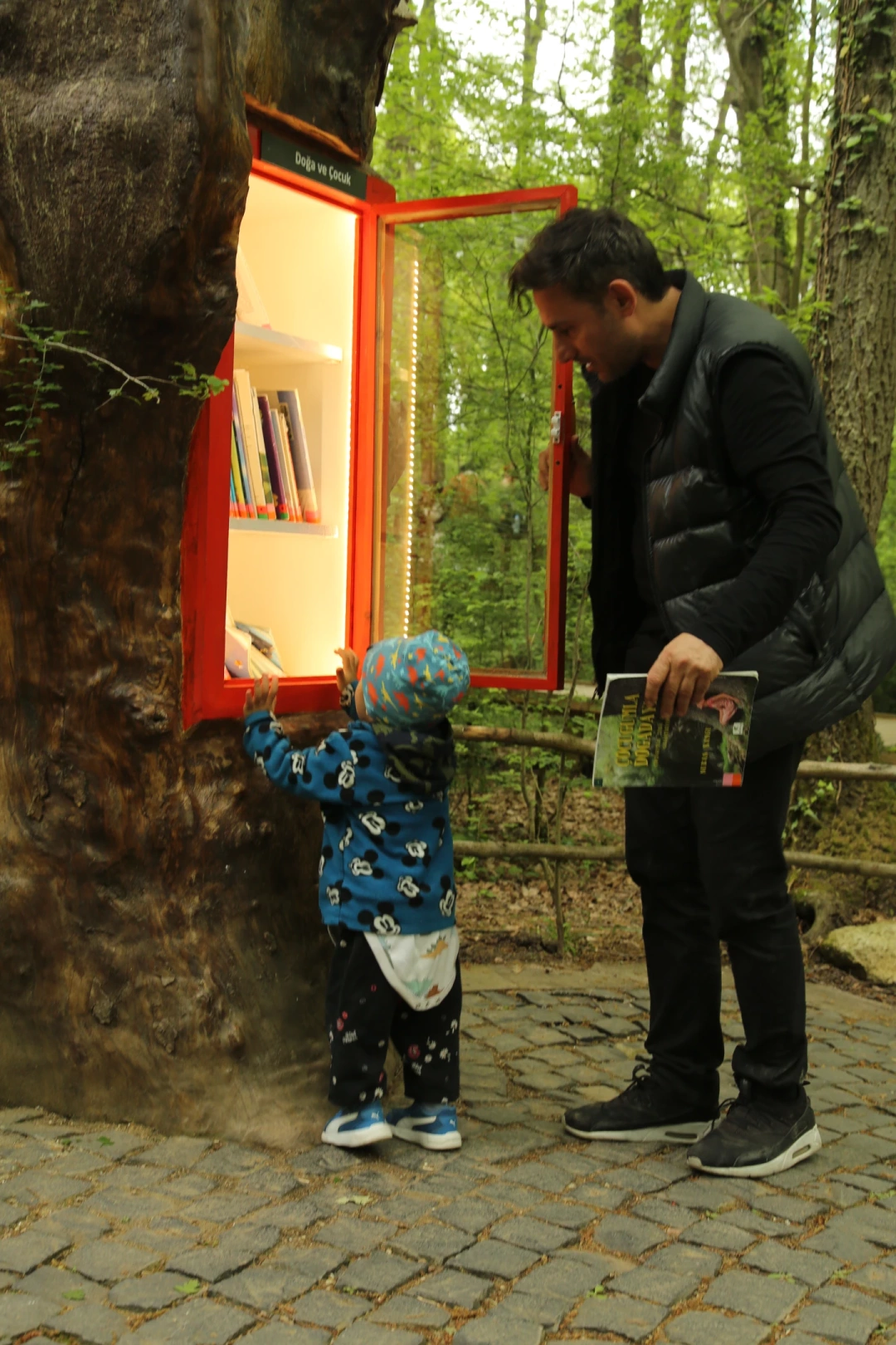 orman-kutuphanesi / 1005