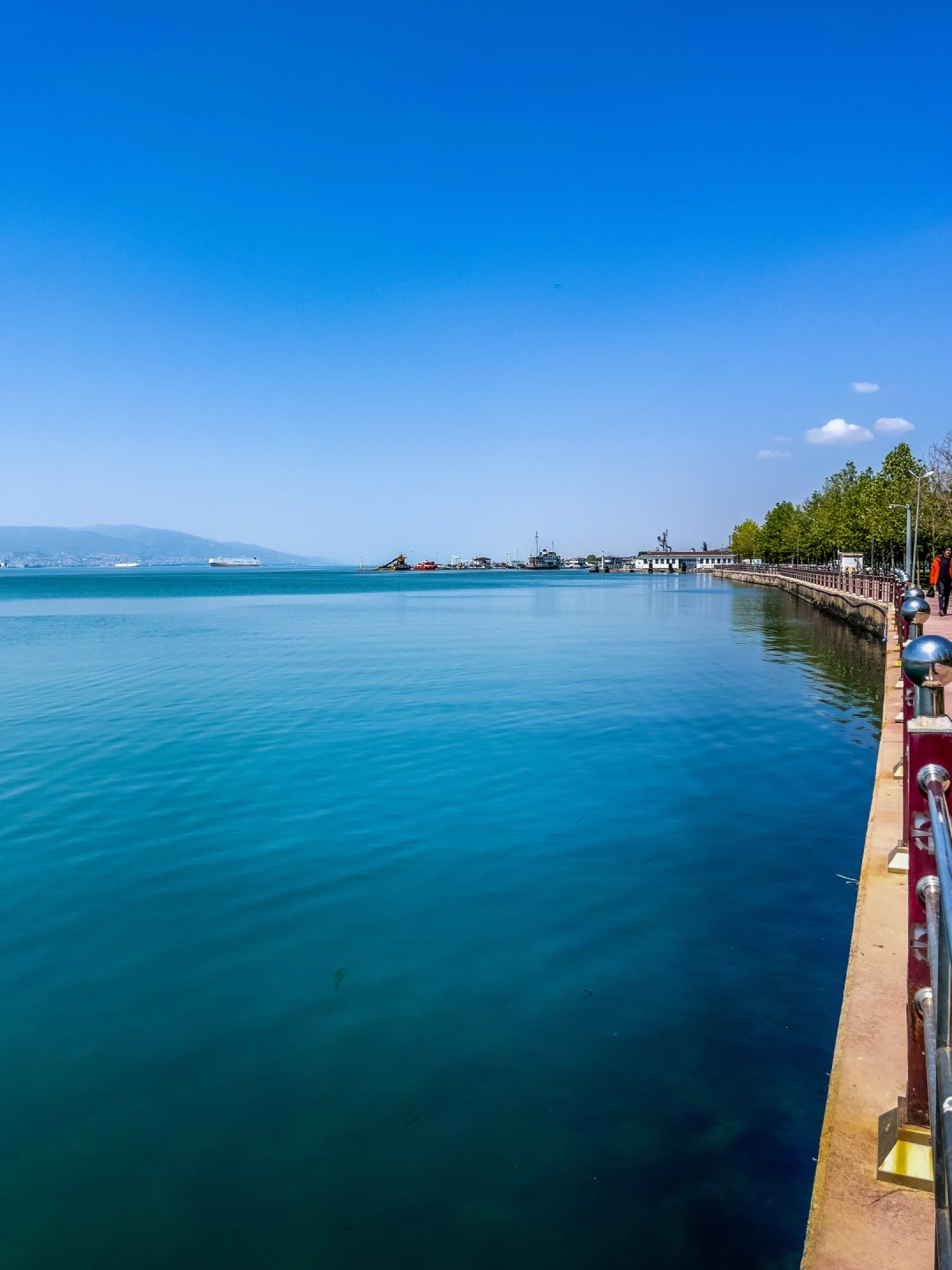 izmit-kocaeli-heykel-izmitcarsi-orduevi-sekapark-kolordu / 2893