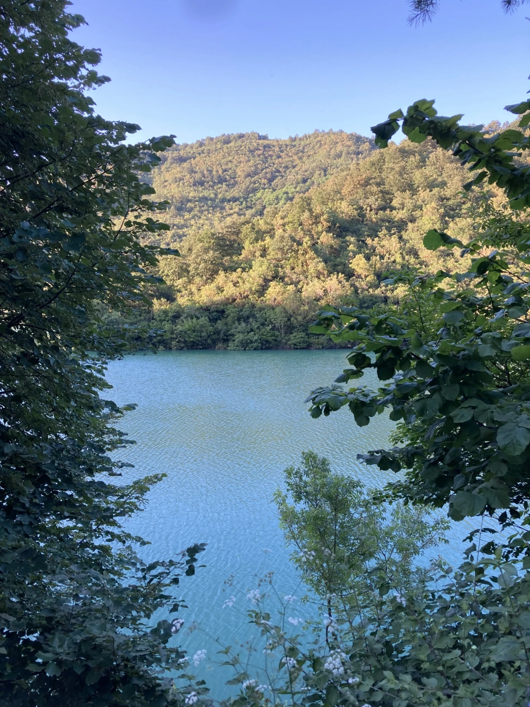 yuvacikbaraji / 3505