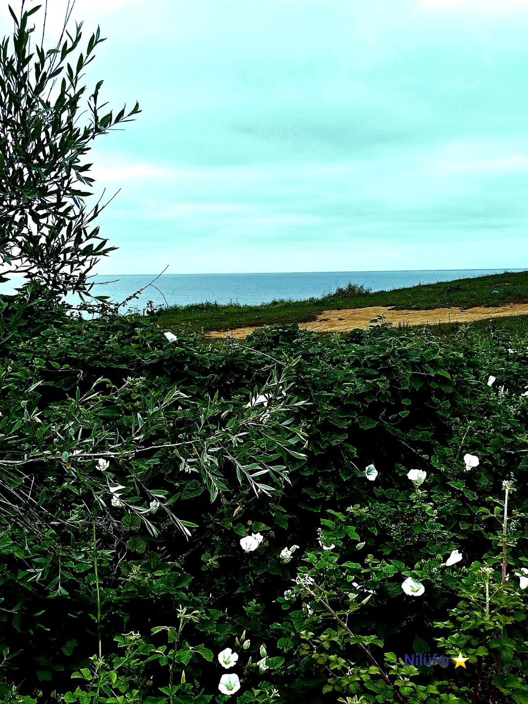 kandira-bagirganli-sahil / 15249