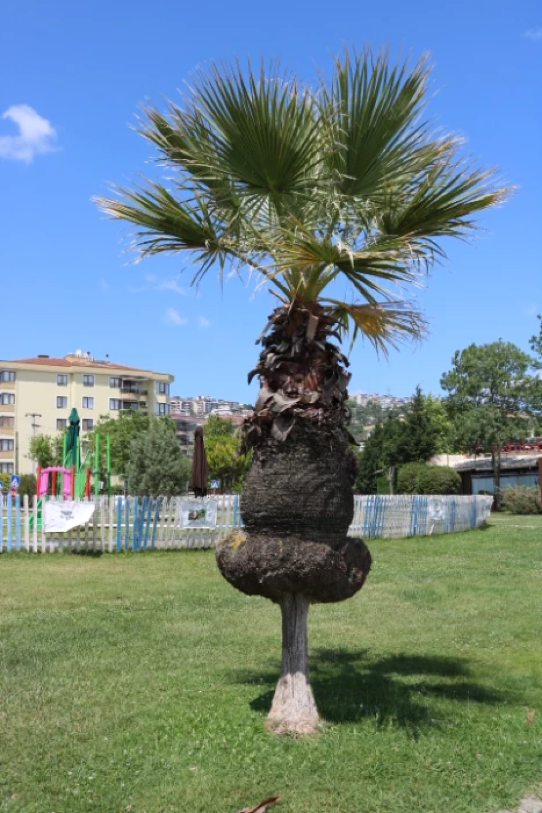 sekapark-plajyolu / 14249