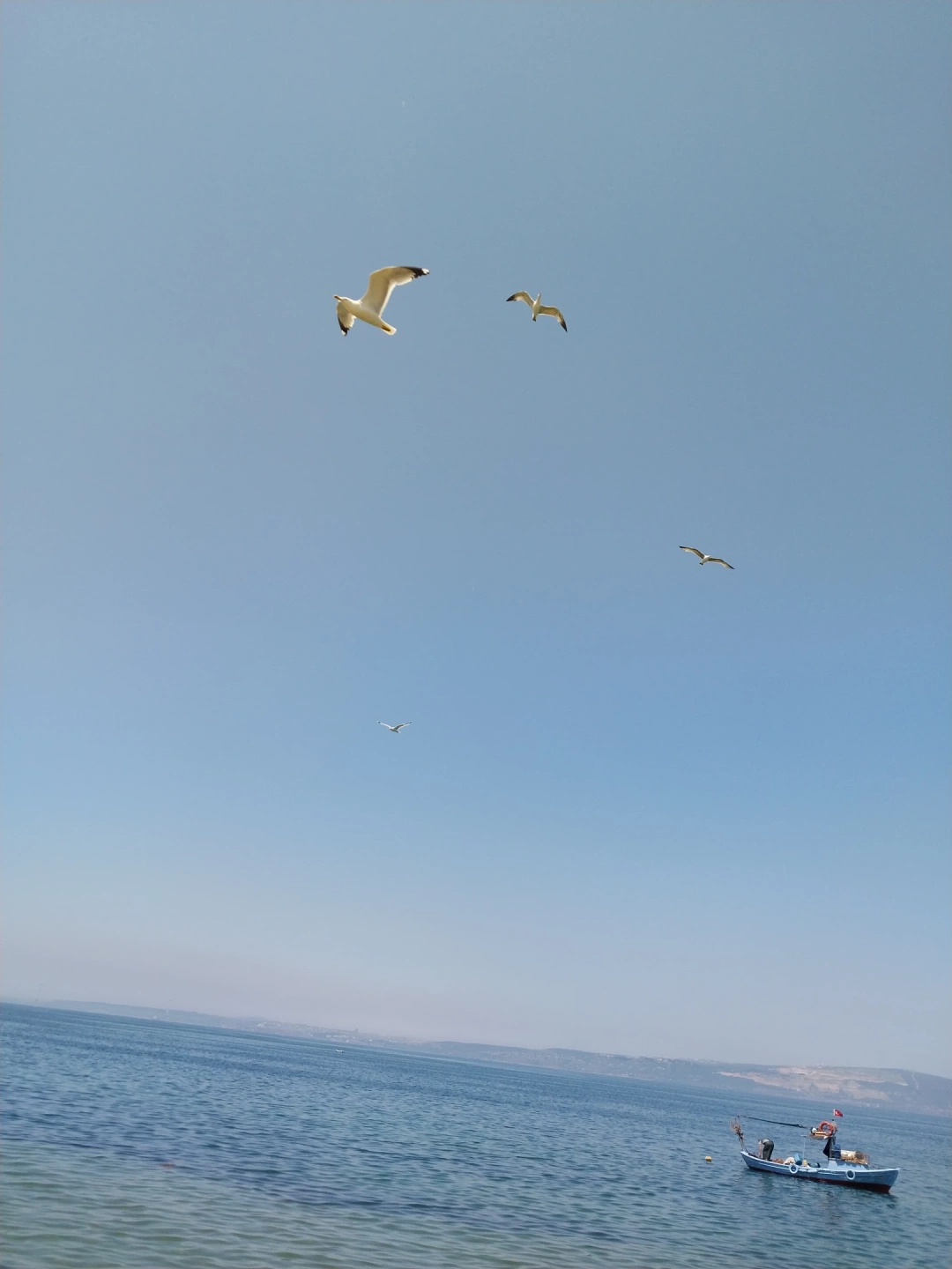 karamursel-eregli / 13293