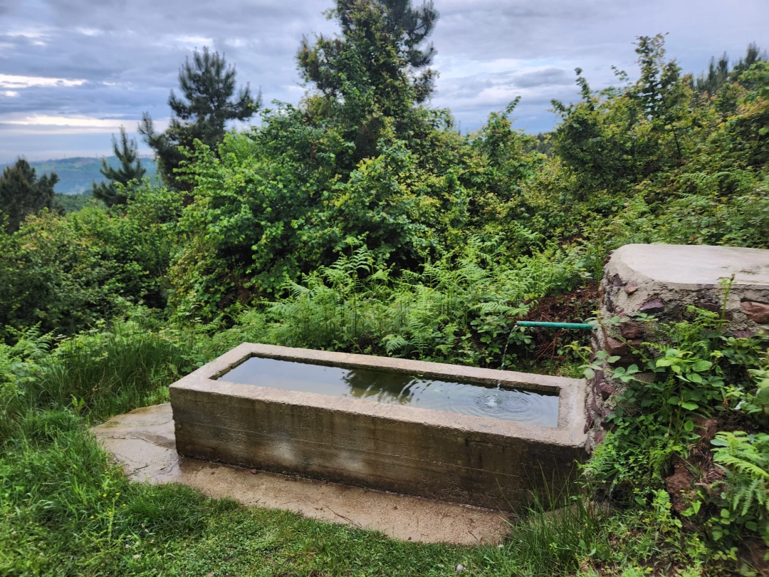 bir-hayratderince / 11805