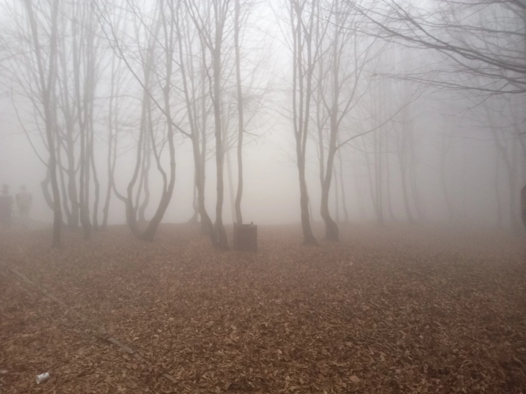 izmit-kocaeli-huzur-manzara / 10105