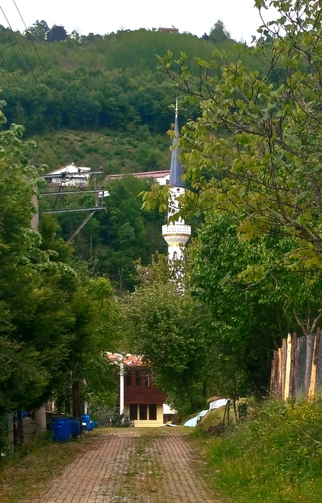 servetiye-koyu-kocaeli / 10793