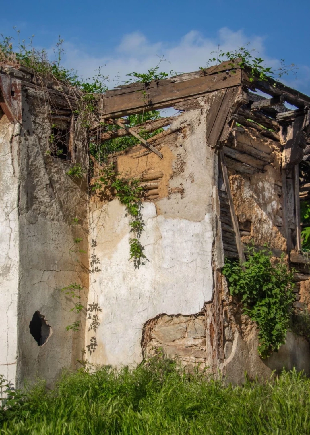 golcuk-sarayli / 15175