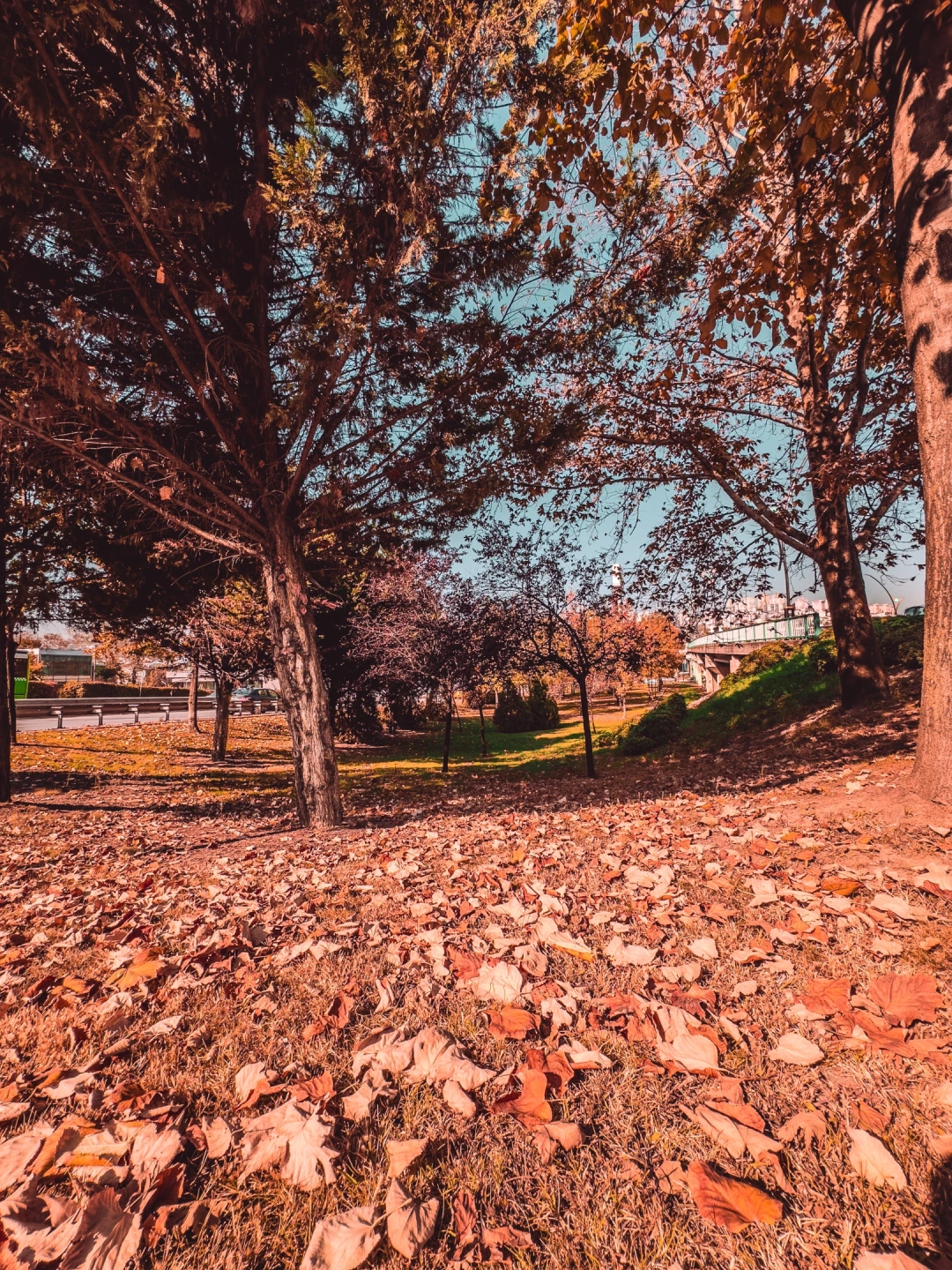 izmit-carsi-fuar-outletcenter-kocaeli / 16231