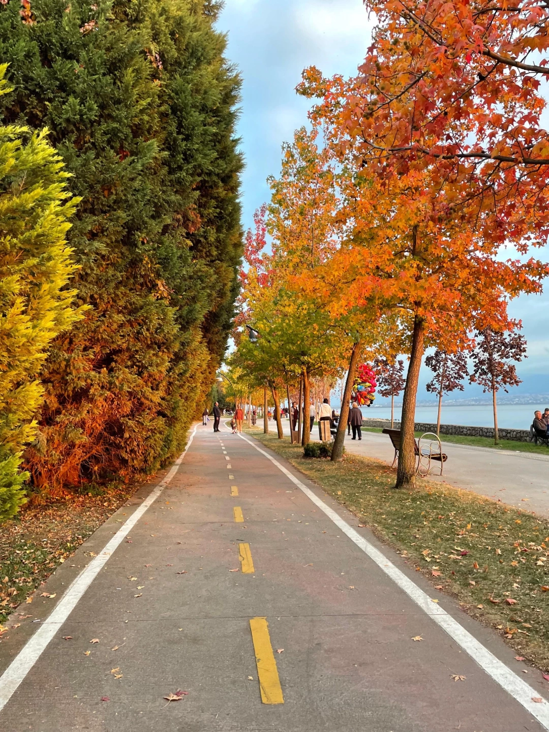 izmit-sekapark / 16175