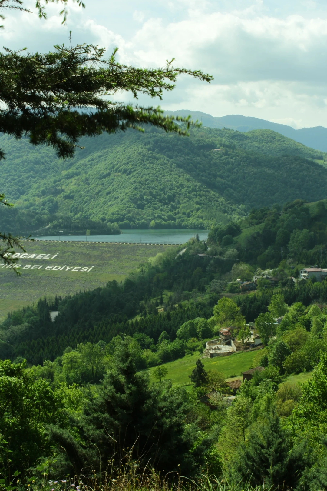 kocaeli-yuvacik / 10775