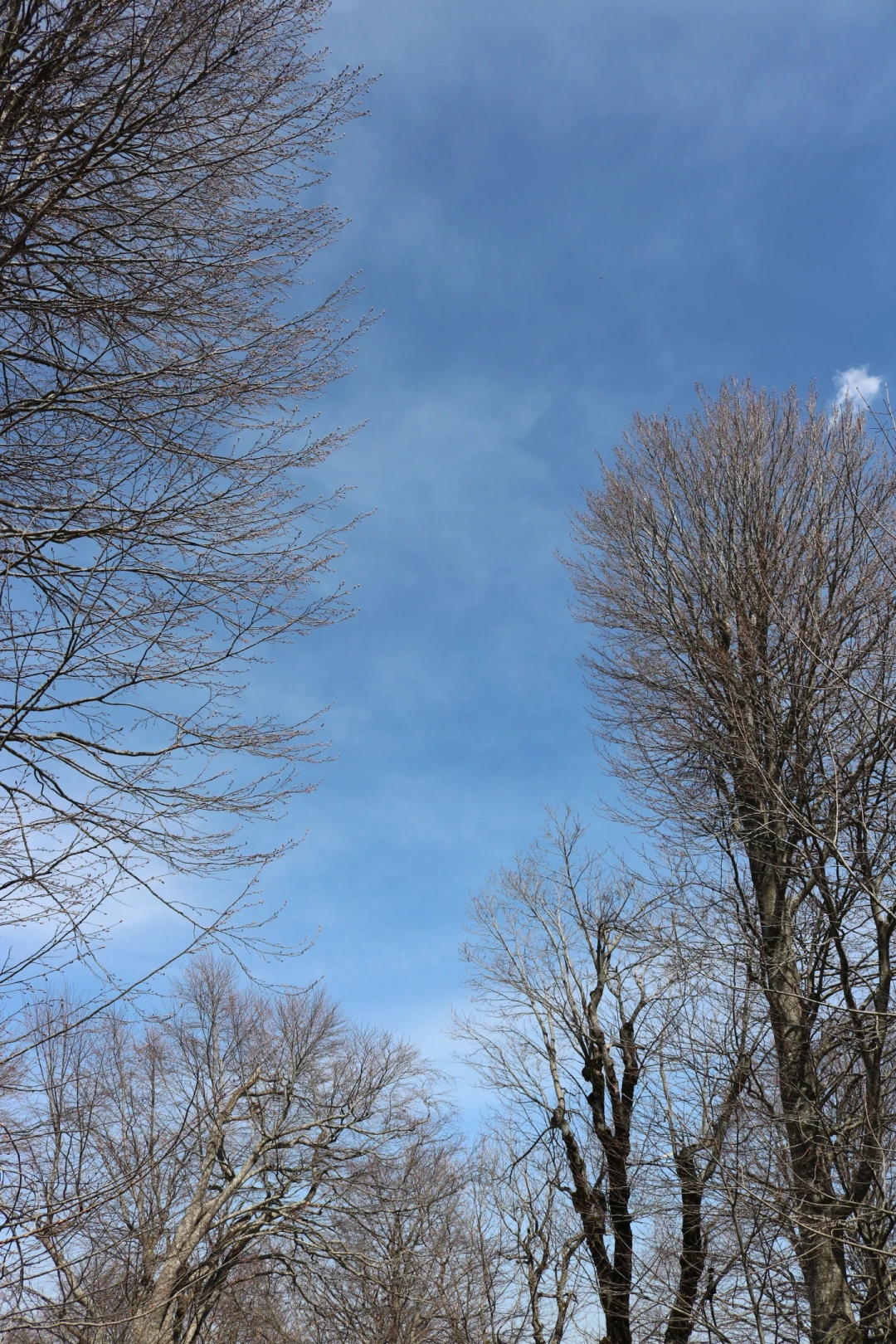 kartepe-huzur-gokyuzu / 9875