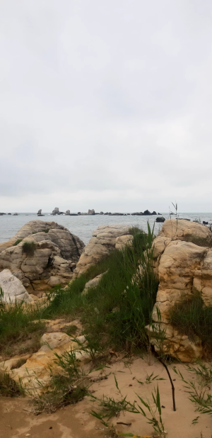 kerpe / 12513