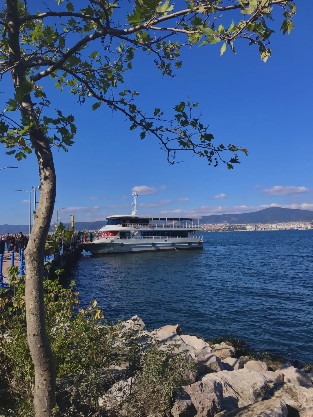 golcuk-kavakli / 1289