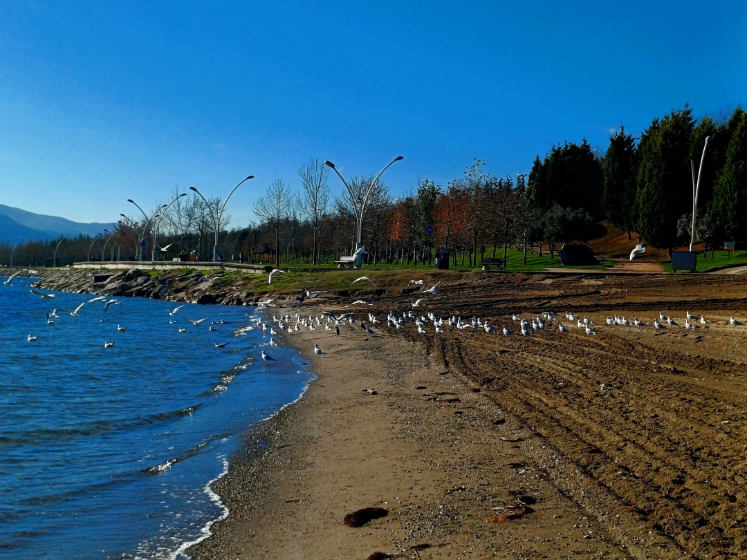 60-evler-derince-kocaeli / 9701