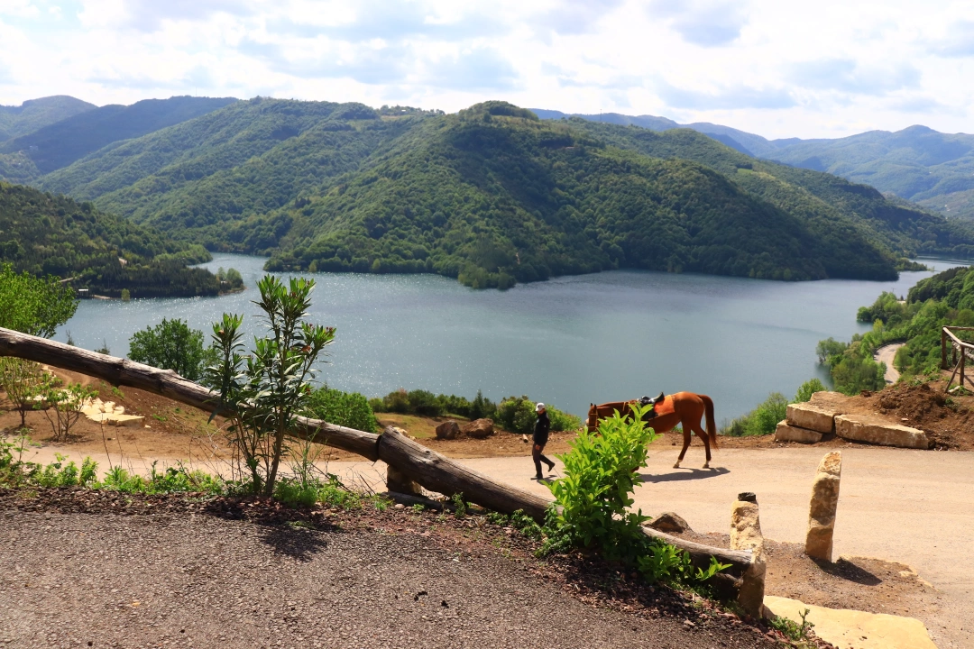 yuvacikbaraji / 10645