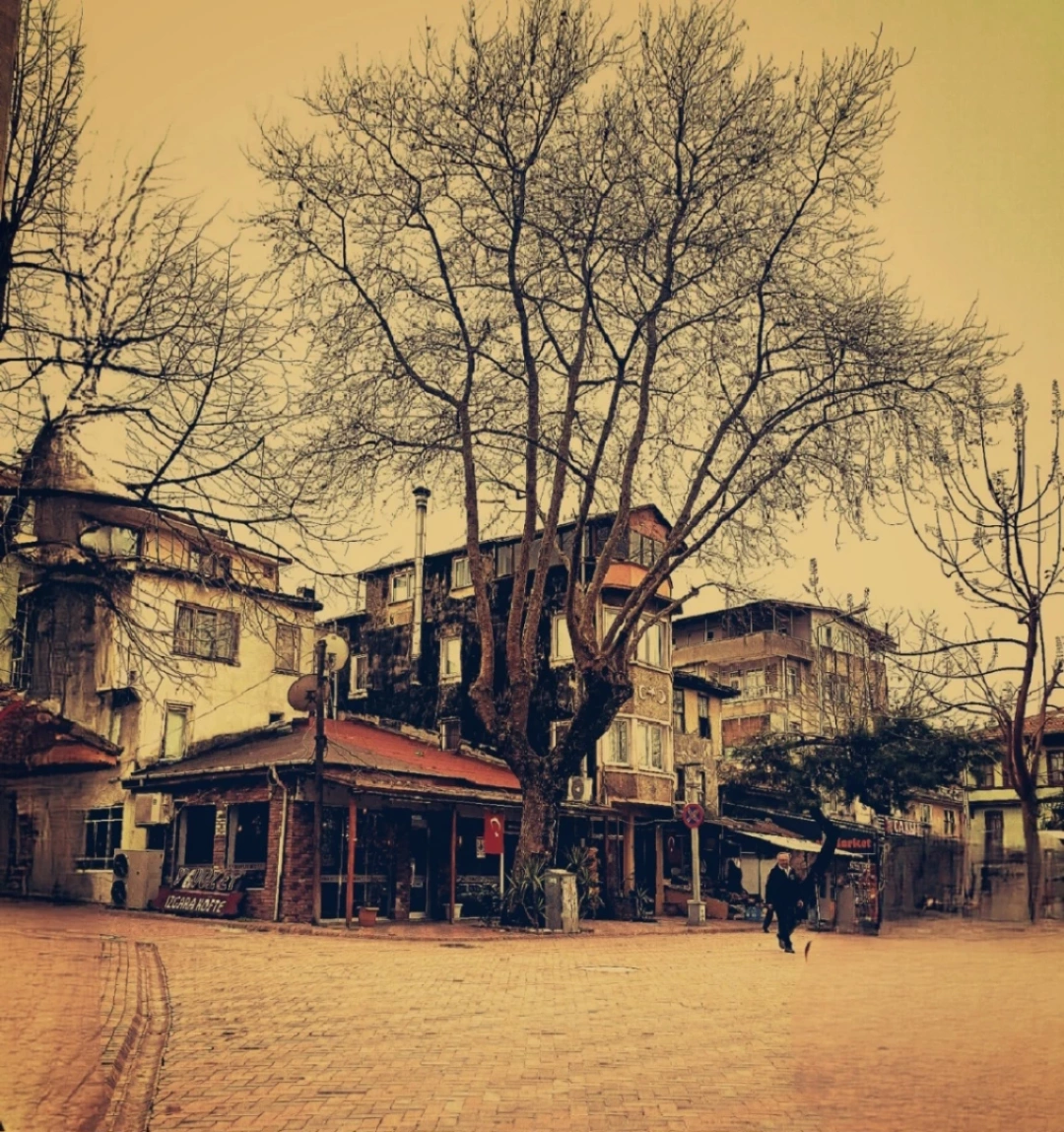 eregli-kocaeli / 10601