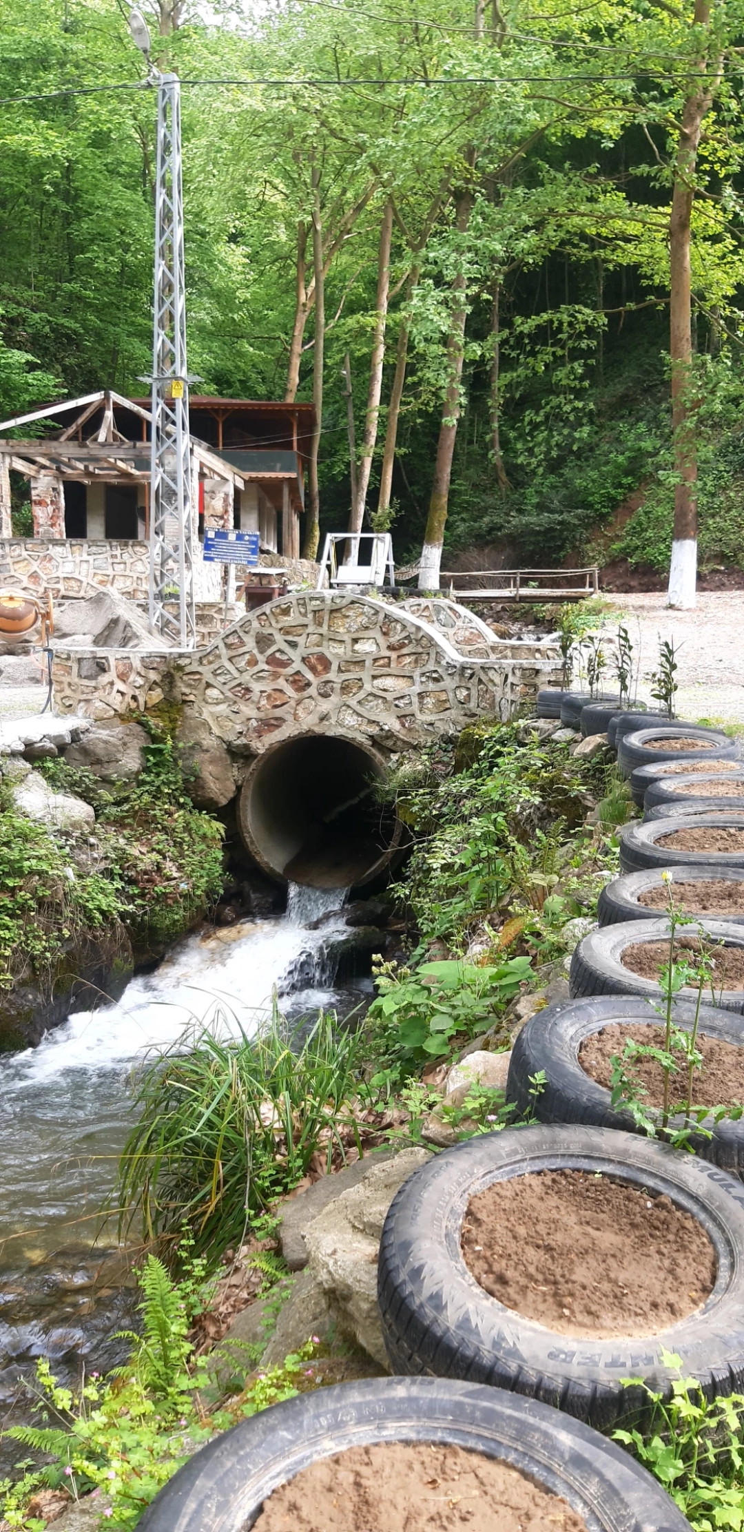 servetiyealabaliktesisi / 11445