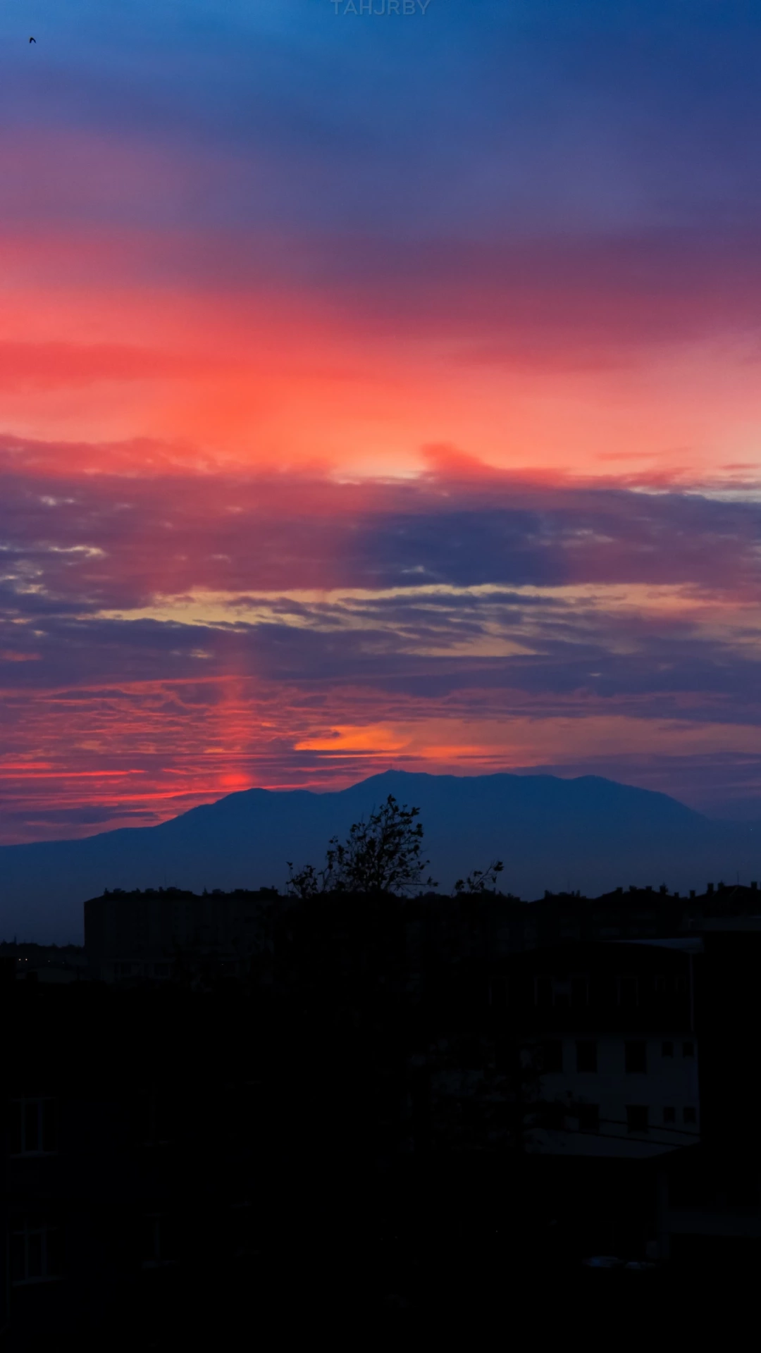 korfez-den-kartepe-gundogumu / 1045
