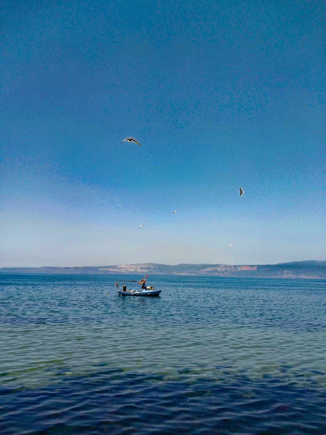 karamursel-eregli / 13145
