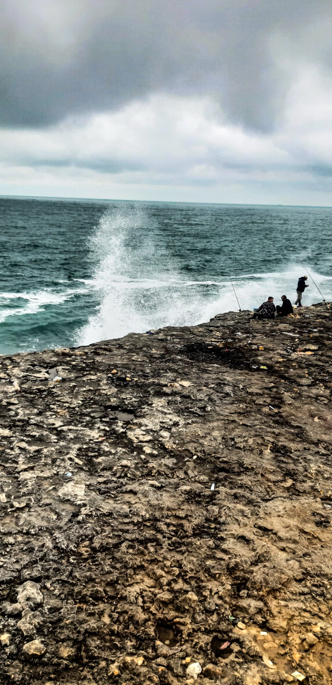 pembekayalar / 12201