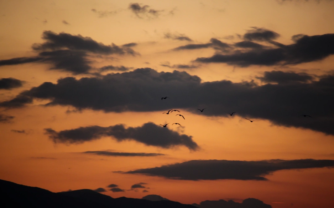 izmit-gunbatimi / 13445