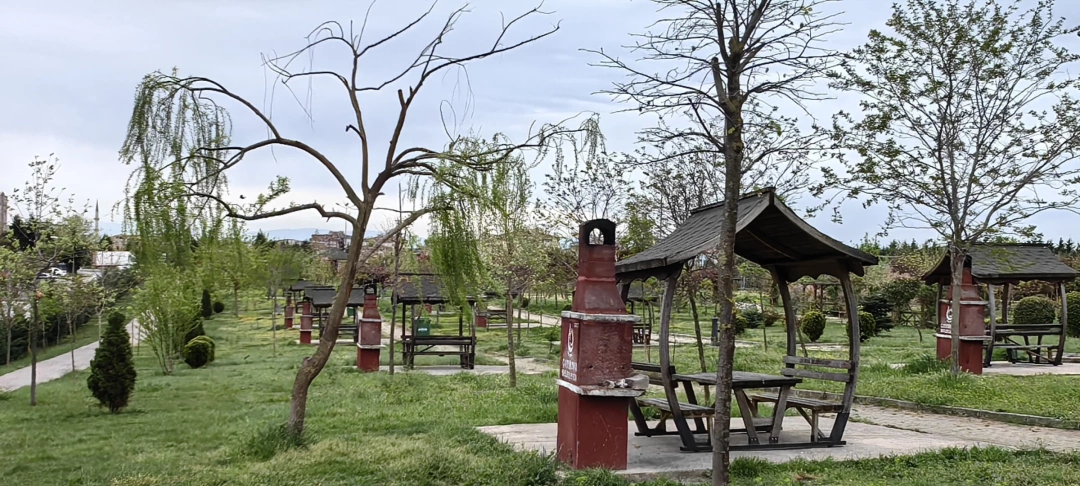 mangal / 15345