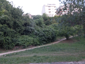 gebze / 14371