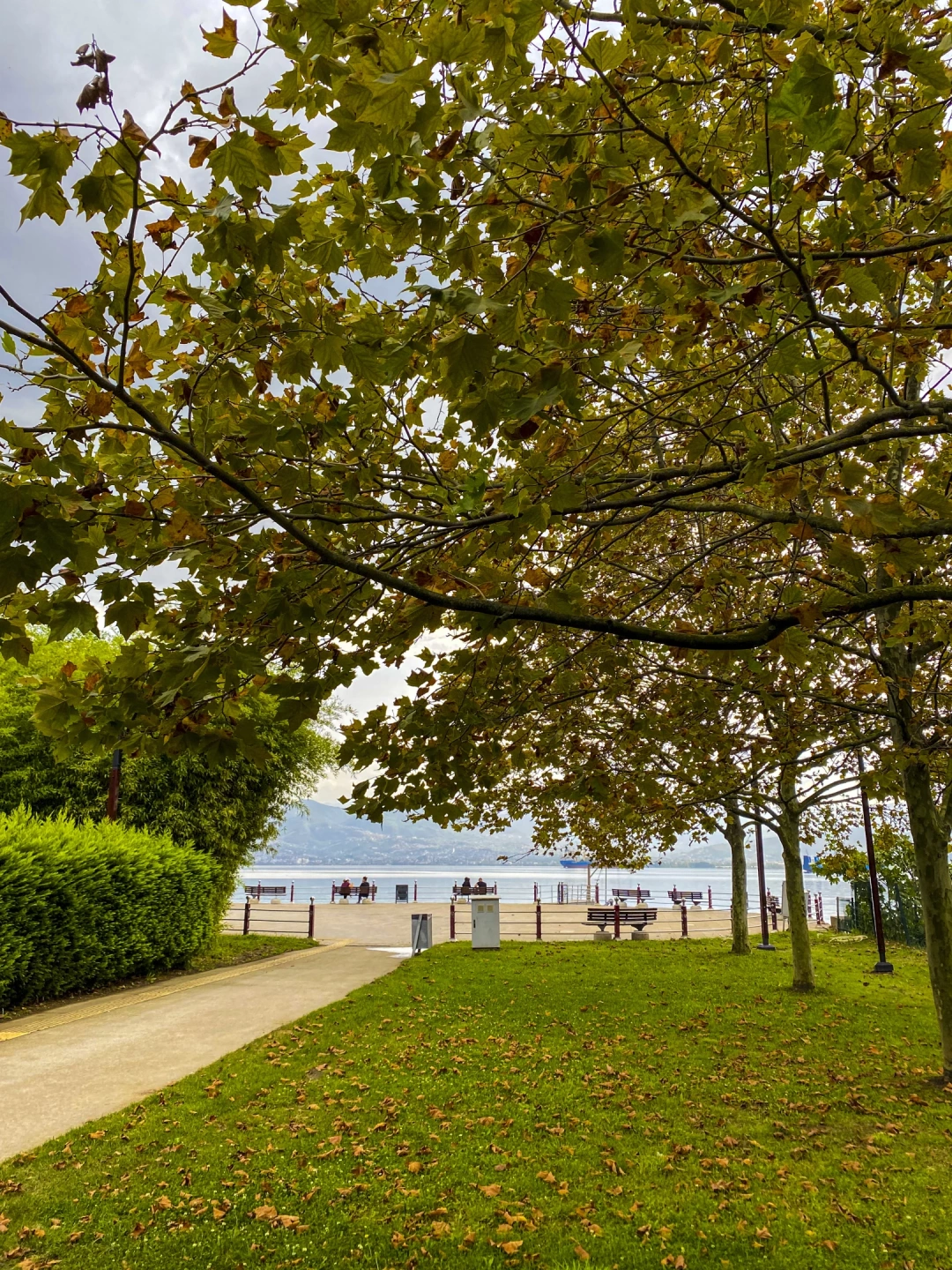 izmit-sekapark-sonbahar / 16301