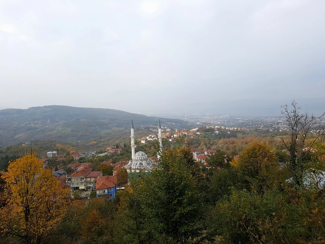 mutlusehirkocaeli / 2301