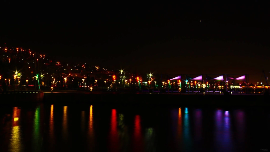 sekapark-isiltisi / 2589