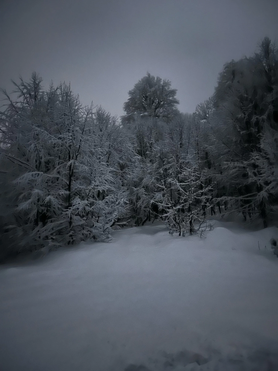 geri-sayim-kisa-kuzuyayla / 5714