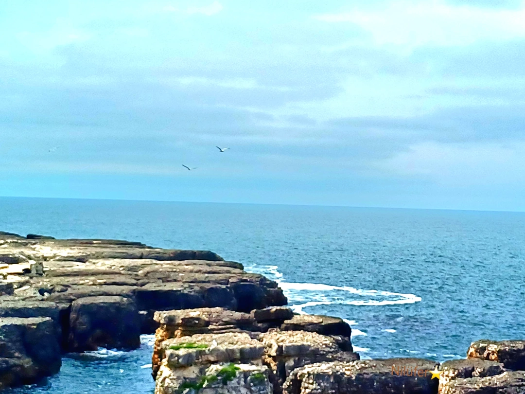 kandira-bagirganli-sahil / 15258