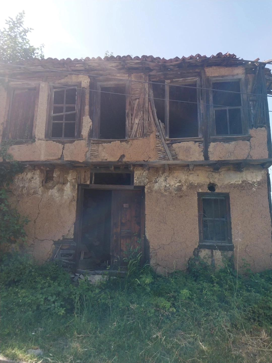 golcuksaraylikoyu / 14858