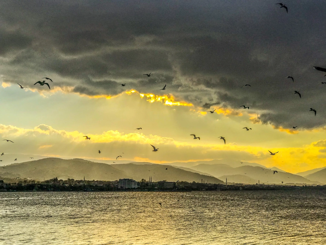 izmit-kocaeli-sahil-deniz-orduevi-izmitcarsi-kolordu-sekapark-heykel-basiskele-yuvacik / 3314