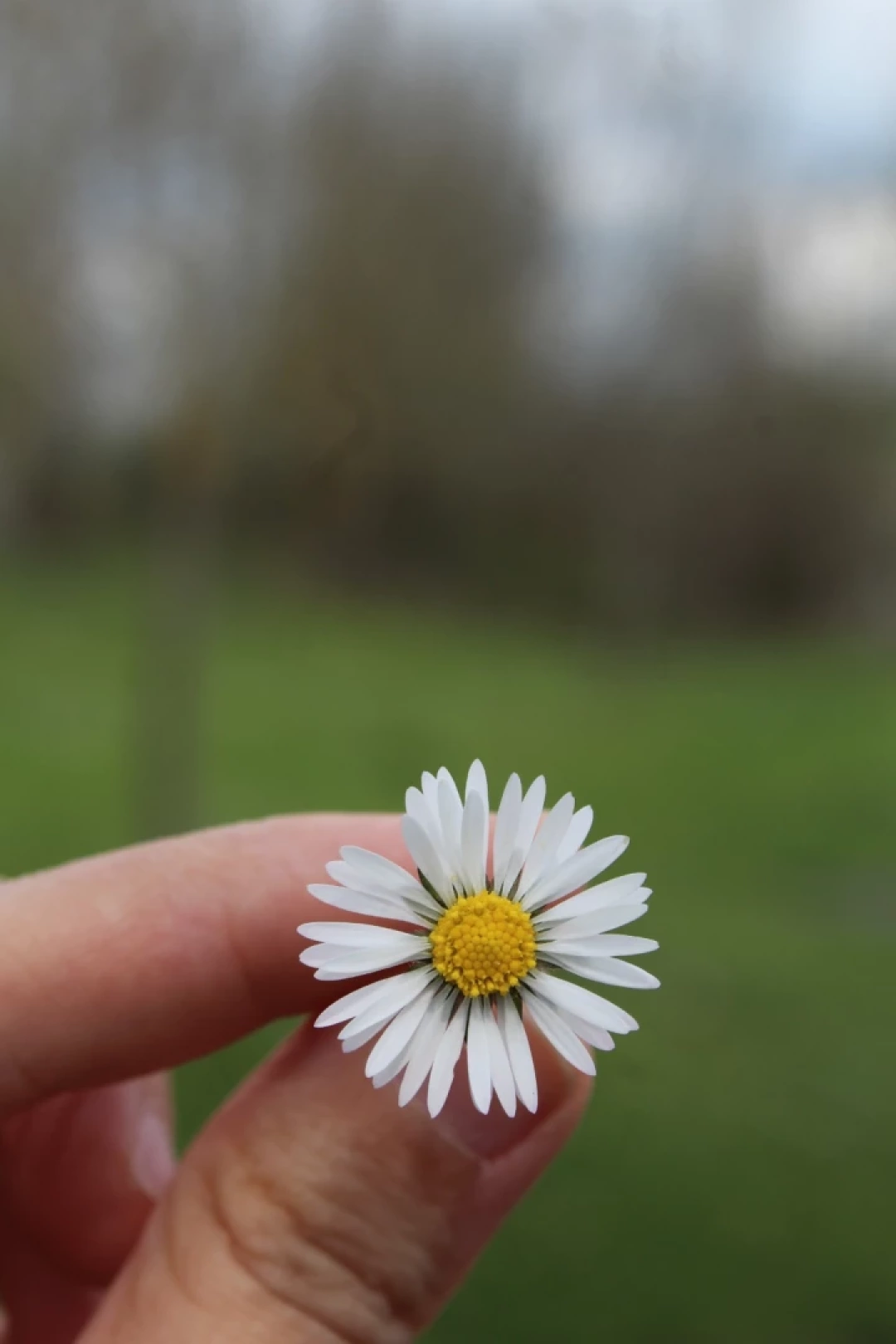 en-sevdigim-kocaeli-izmit-sevdamizkocaeli / 3158